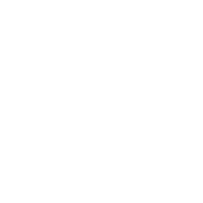 Laceco Testimonial